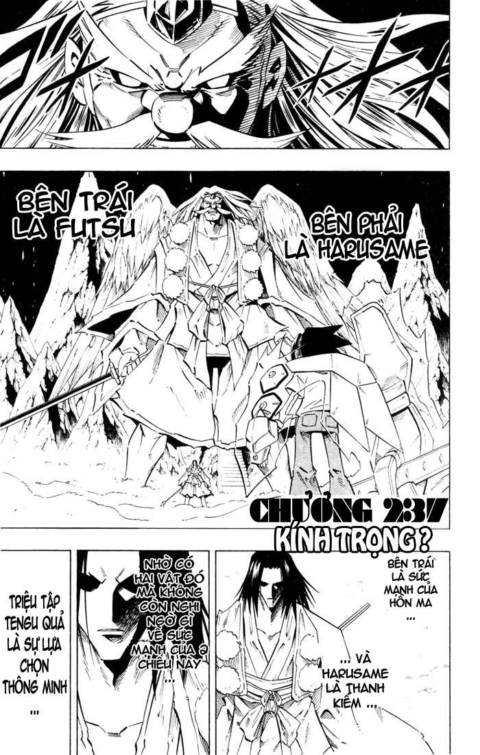 https://cdn.nhattruyenplus.vn/103/103397/shamanking-chap-237-01.jpg