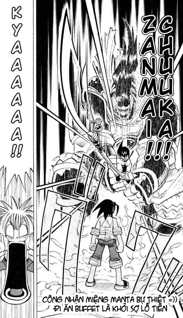 https://cdn.nhattruyenplus.vn/13/13877/shaman-king-1806977-p2j.jpg